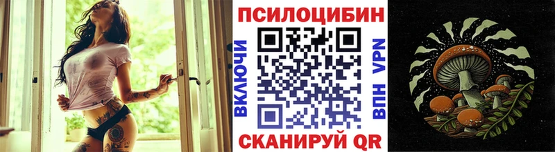 Псилоцибиновые грибы Psilocybine cubensis Пошехонье